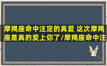 摩羯座命中注定的真爱 这次摩羯座是真的爱上你了/摩羯座命中注定的真爱 这次摩羯座是真的爱上你了-我的网站